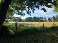 boule.webp