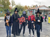 IMG_4562-preview.JPG