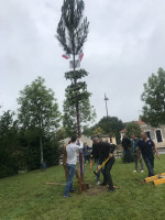 IMG_6968.jpeg